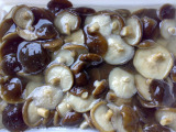 Shiitake in Brine (LF