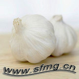 Pure White Garlic