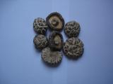 Dried Shiitake Mushroom