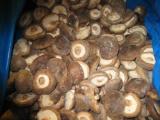  IQF   Shiitake   Whole /Quarter