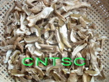 Dried Boletus Edulis