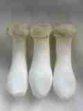 King Oyster Mushroom