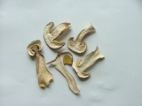 Dried Porcini