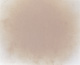 Dehydrated Garlic Powder