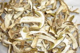 Wild Forest Mushrooms