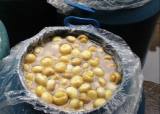 Brine Mushroom