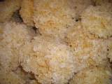 White Fungus