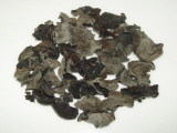 Black Fungus