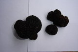 Fresh Truffles