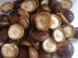 IQF  Shiitake 