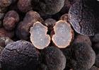 Truffle