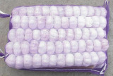 Fresh Garlic in 5kg Mesh Bag (G013)