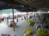Whole  Bulk  Normal  White   Garlic 