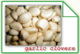 Frozen Garlic (2)