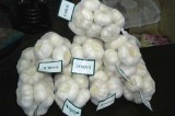 Pure White Garlic