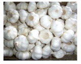  Loose   Garlic  (L002)