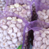 Normal and Pure White Garlic