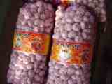  Fresh   Super   Garlic 