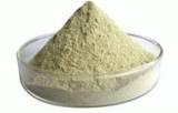 Food Additive--Xanthan Gum Food Grade 200 Mesh