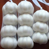  Fresh  Galic Supply