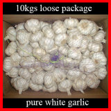 Normal White  Garlic  ( Hybrid   Garlic )