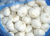 White Garlic