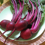 Red Radish Color