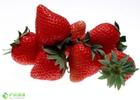 Strawberry Juice Powder