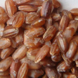 Red Rice Red