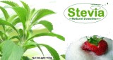 Stevia Leaf as Flavoring Additives to Coffee