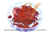  Haematococcus  Pluvialis  Powder  (A030, 3.0% Astaxanthin)