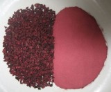 Beet Juice Concentrate Powder (0730)