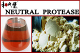 Neutral  Protease   Enzyme  Food Additives