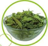 Stevia Extract Stevioside 85% 90% 95% 98%