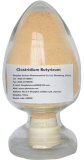 Clostridium Butyricum Probiotic Api