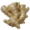 Fresh Ginger
