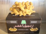 Chinese Fresh Ginger