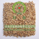  Light  Caramel Malt