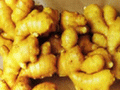  Fresh   Ginger 