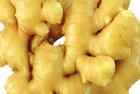 Ginger P. E ( Gingerol   5 %) (0004)
