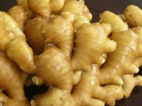  2010   Fresh   Ginger 