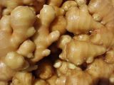 Ginger
