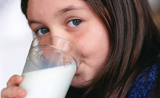 Isolated Soy Protein for Dairy Production