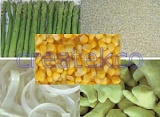  IQF  Garlic Dices,  IQF   Peeled   Ginger ,  IQF  Asparagus