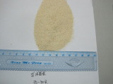 Dehydrate White Onion Powder