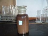 Scallop Extract