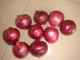 Red Onion