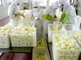 Peeled Onion
