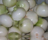 Onion