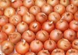 Onion